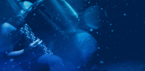 Ystävänpäivä Koivuhaassa